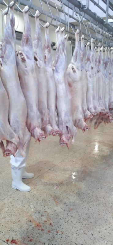 Goat Meat from Kenya